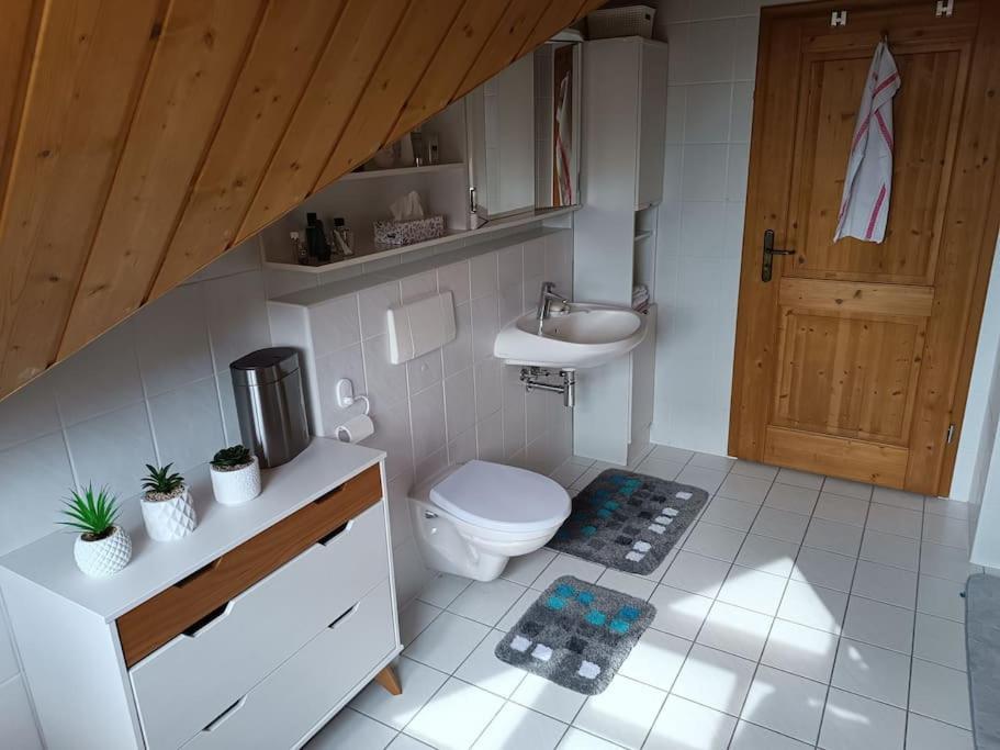 Ferienwohnung - Dachgeschoss Schmuckstueck Wolnzach Ngoại thất bức ảnh